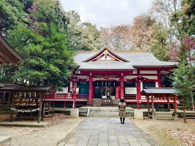 菅田天神社,見どころ,平沢凛