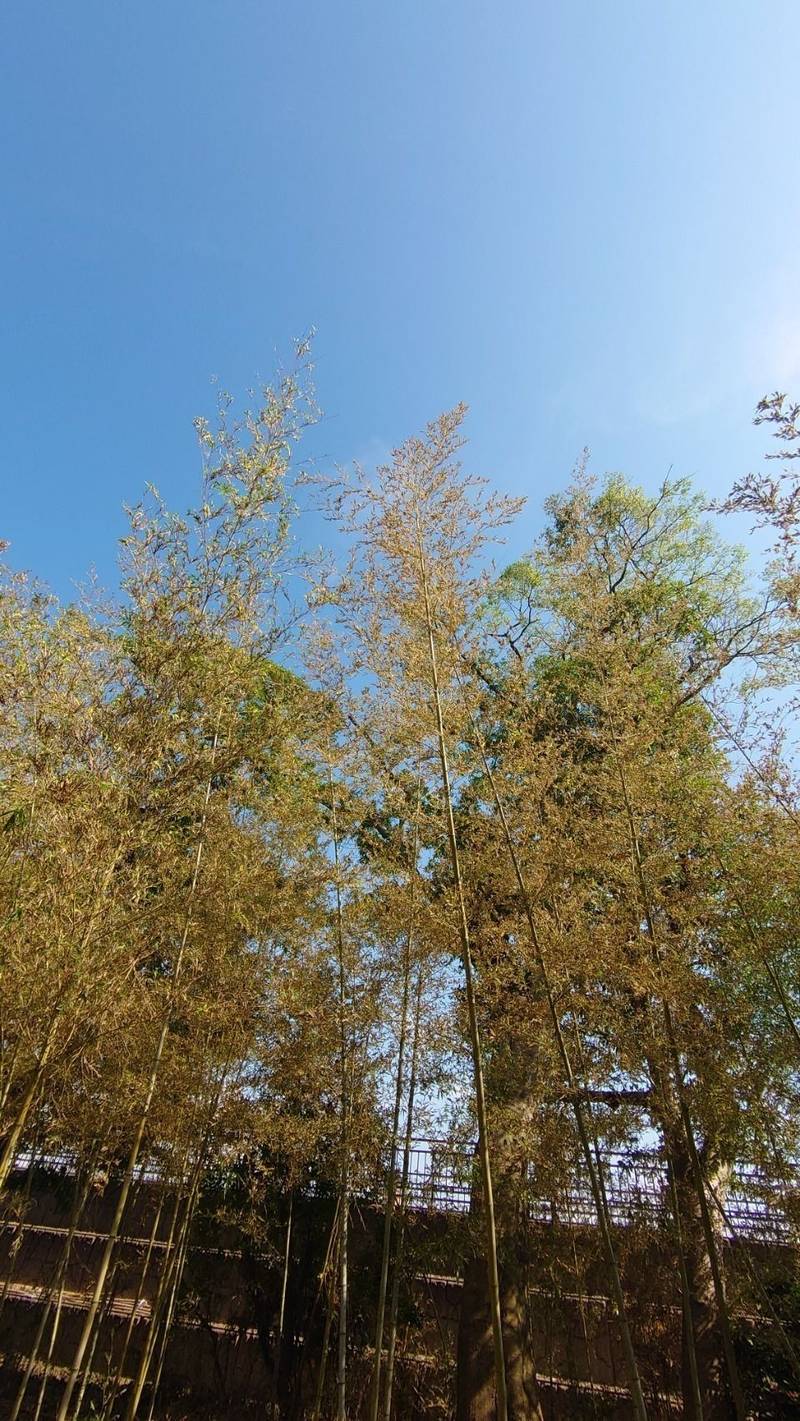 小松天満宮,石川県小松市天神町1