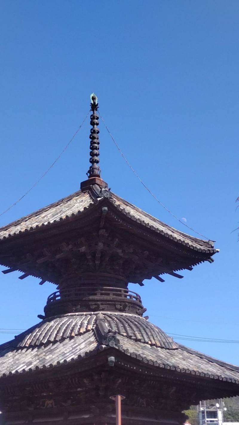 観照院,岡山県笠岡市中央町16-3