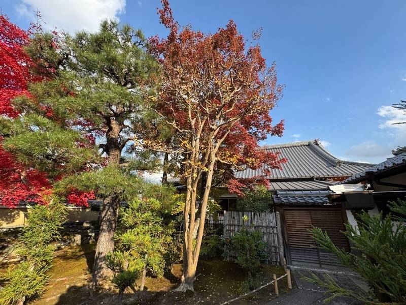 寿寧院 (天龍寺塔頭),京都府京都市右京区天龍寺芒ノ馬場町62