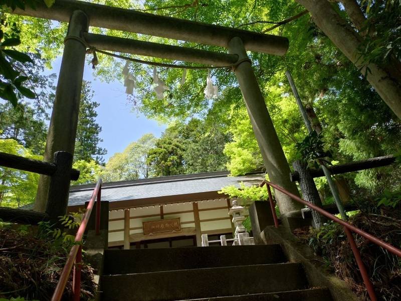 秩父御嶽神社,埼玉県飯能市坂石550-2