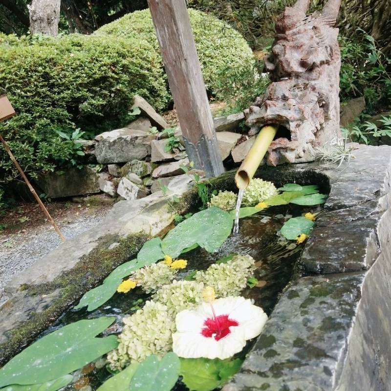 柳津虚空蔵尊 宝性院 授与品 登米市 宮城県 Omairi おまいり