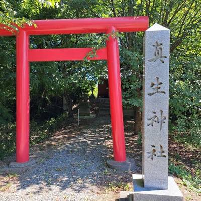 真生神社,見どころ,moca