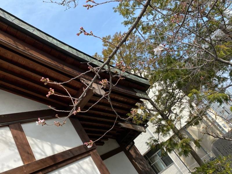 居石神社