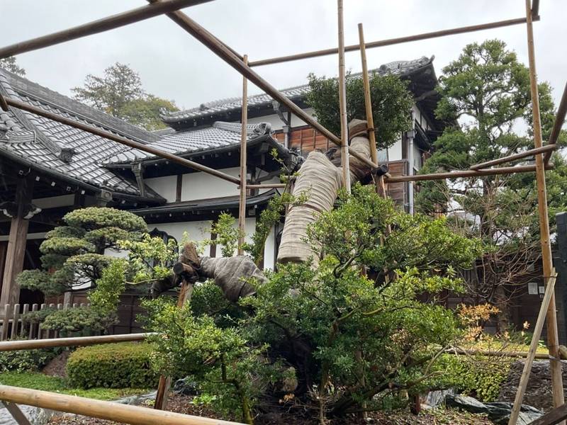 源正寺,東京都武蔵野市緑町1-6-7