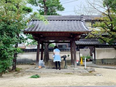 東光寺,見どころ,平沢凛