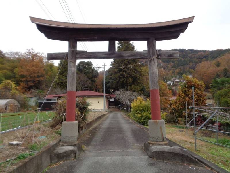 諏訪大神社   (秩父市吉田久長),埼玉県秩父市吉田久長424