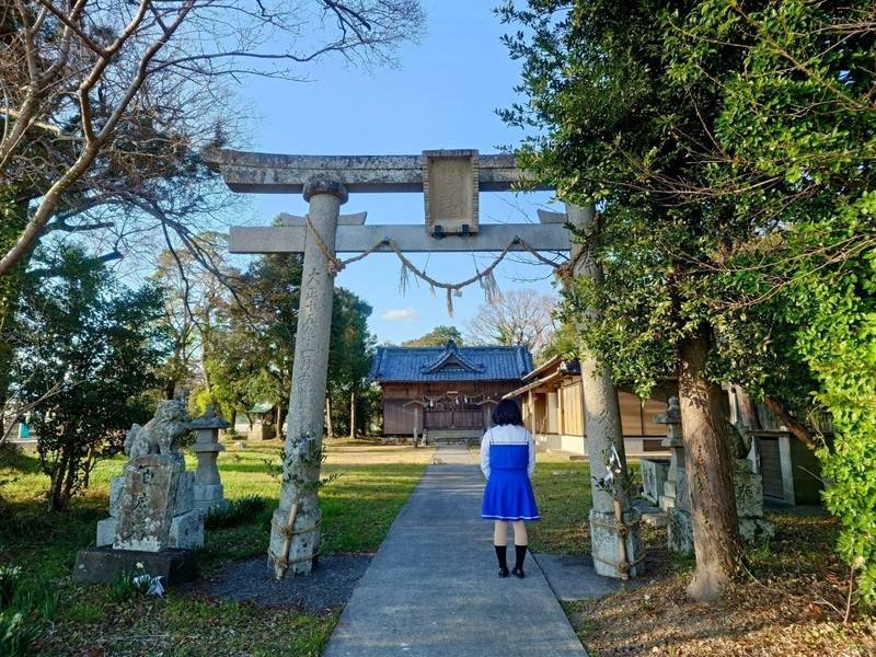 伊都多神社,高知県南国市田村