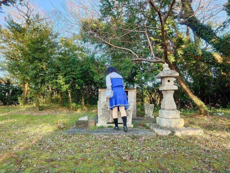 伊都多神社,高知県南国市田村