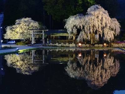 神明神社  (朝日町青屋),見どころ,ちゅら君
