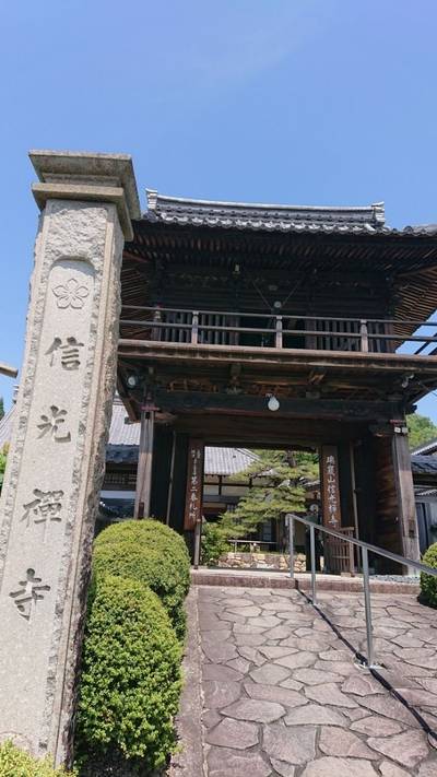 信光寺,見どころ,Y-chann