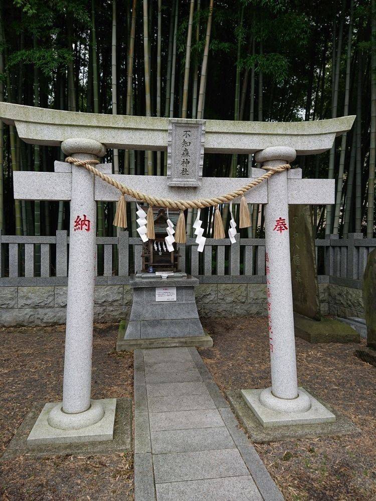 不知森神社 市川市 千葉県 Omairi おまいり