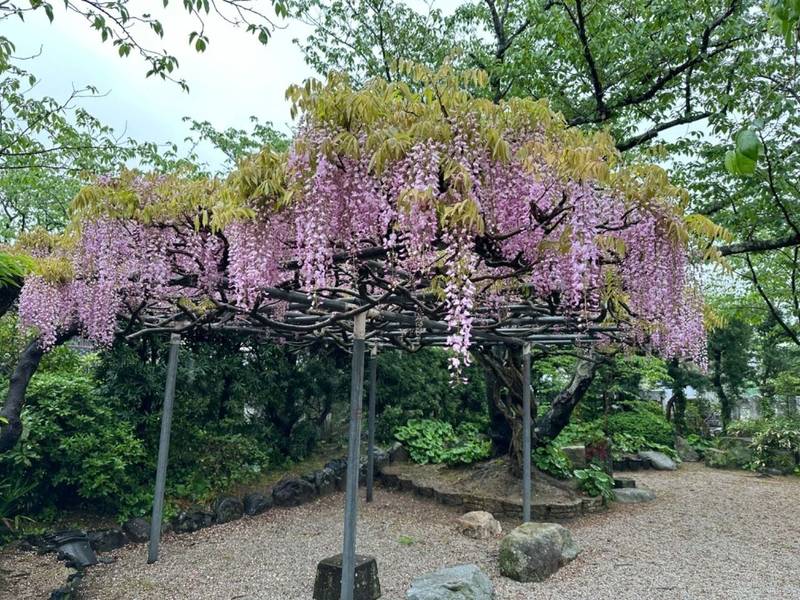 法蓮寺    (唐津市),佐賀県唐津市十人町西十人町１２７