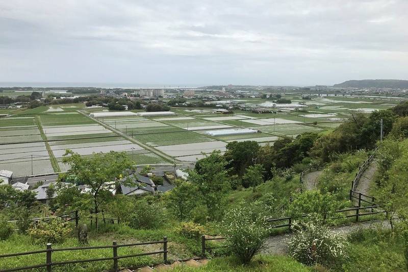 高鍋大師の見どころ
