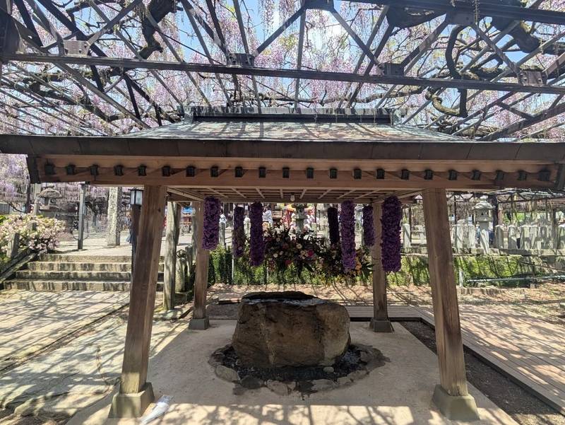 素盞嗚神社,福岡県八女市黒木町黒木5-2
