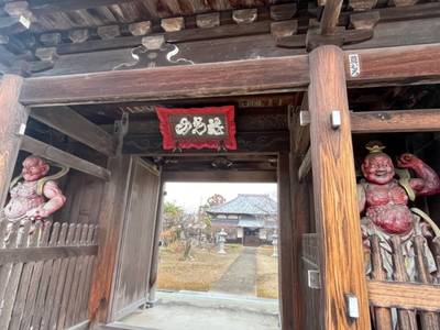 龍光山 龍宮寺,見どころ,ほし