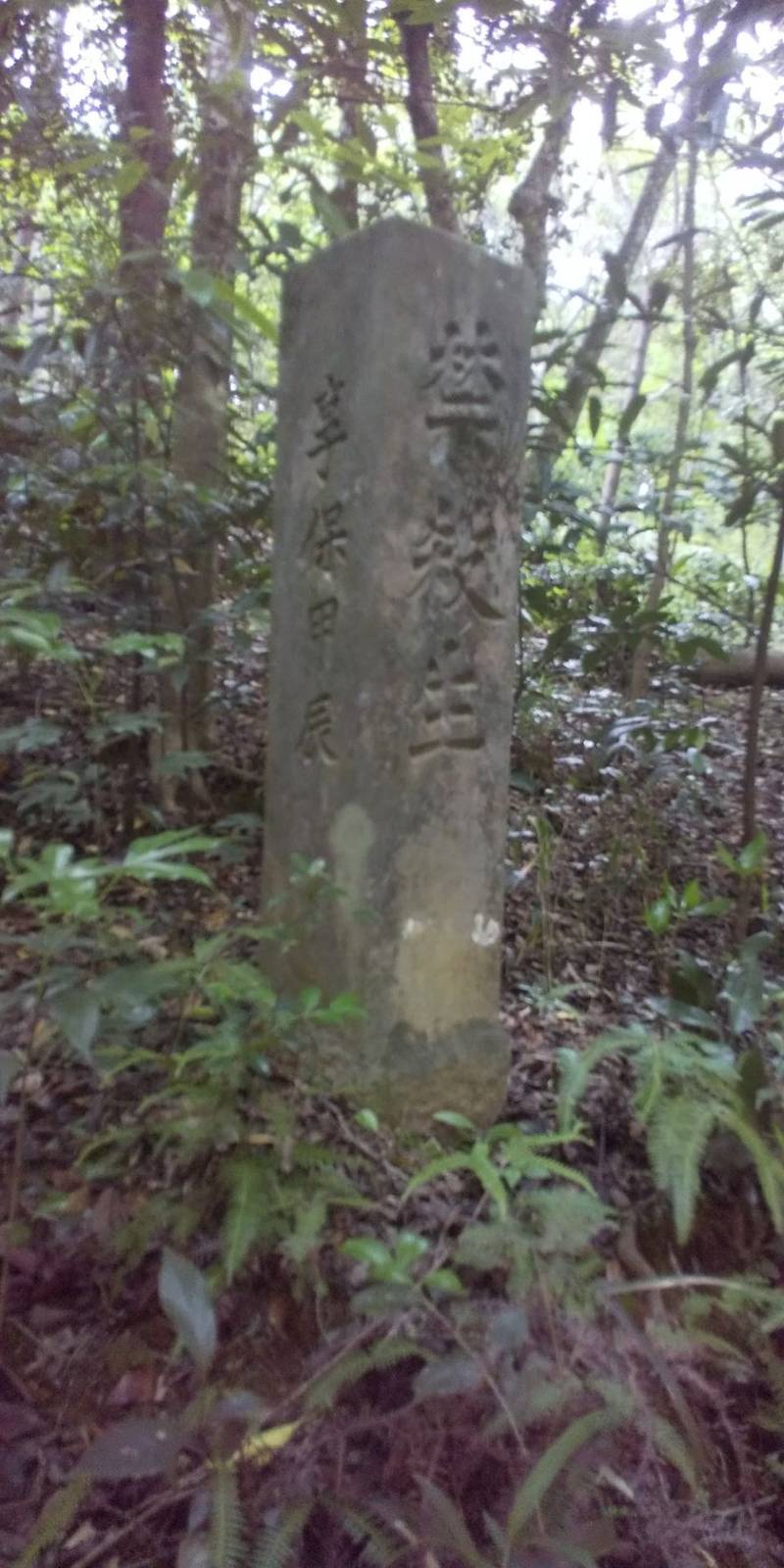 坂手国生神社,三重県度会郡玉城町上田辺字大山田二144-1