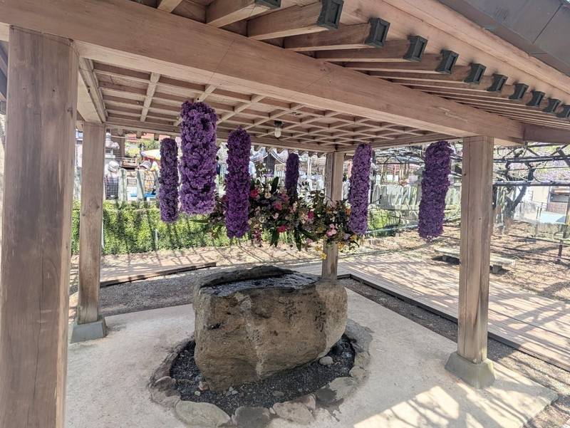 素盞嗚神社,福岡県八女市黒木町黒木5-2