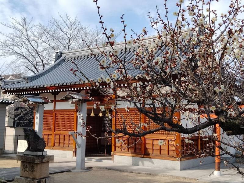 志貴県主神社     (河内国総社),大阪府藤井寺市惣社1-6-23
