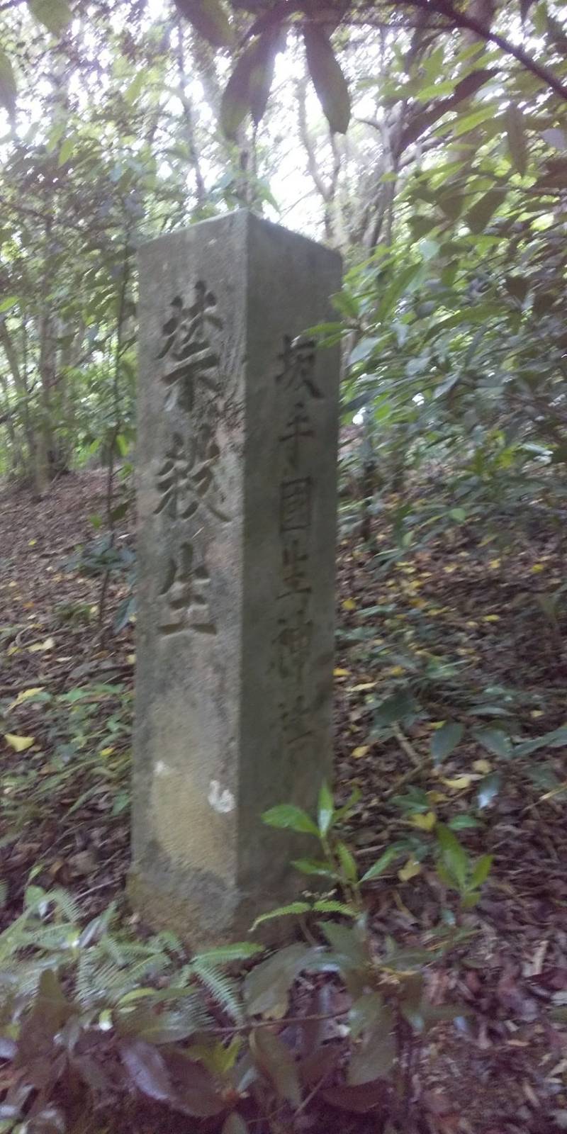 坂手国生神社,三重県度会郡玉城町上田辺字大山田二144-1