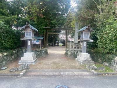 竹大與杼神社,見どころ,さかちゃん