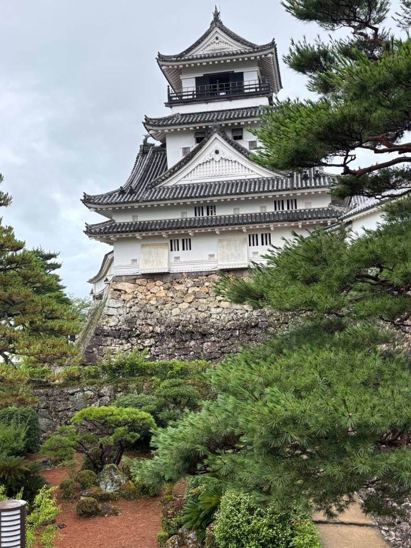 高知城,高知県高知市丸ノ内1丁目2番1号