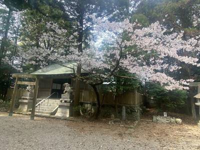 竹大與杼神社,見どころ,さかちゃん