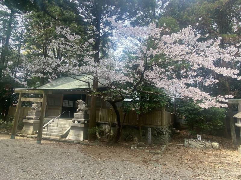 竹大與杼神社,三重県多気郡明和町大淀乙1