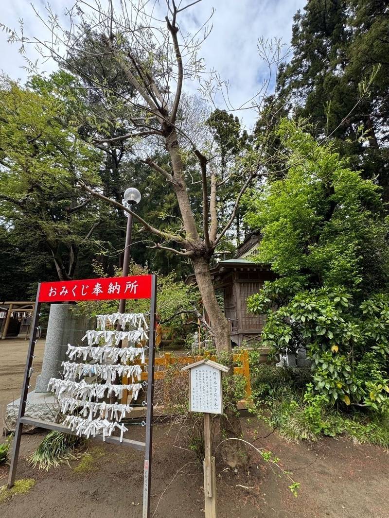 天満天神宮,茨城県水戸市八幡町8-54