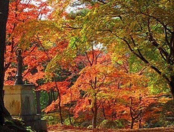 福泉寺,岩手県遠野市松崎町駒木7-57