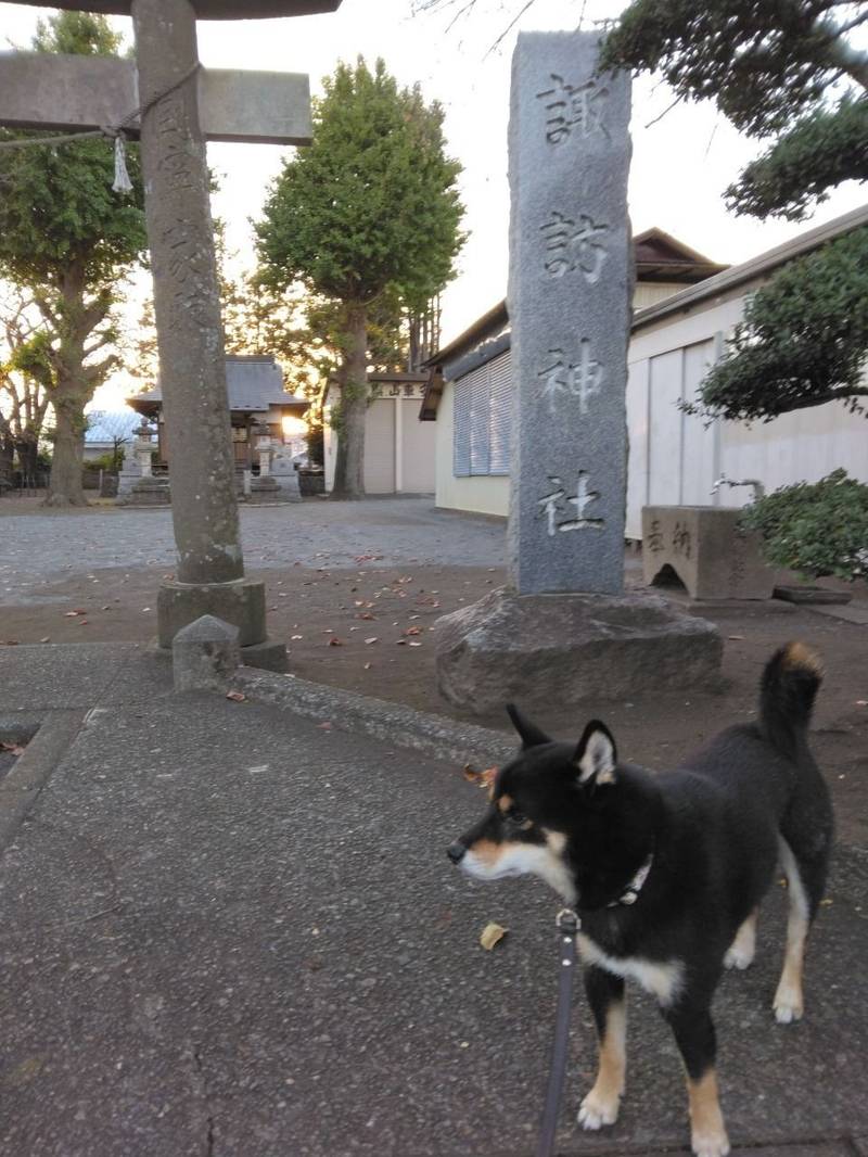 番田諏訪神社,神奈川県相模原市中央区上溝821-1