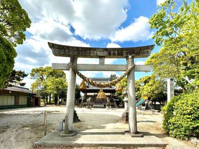 諏訪神社     (今川町),見どころ,を神