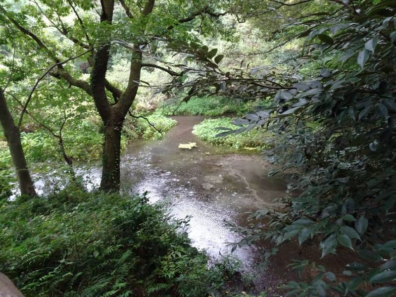 泉頭城 駿東郡清水町/静岡県 Omairi(おまいり)