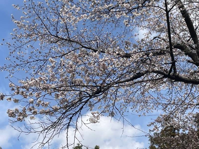 春日神社,栃木県栃木市大平町横堀330