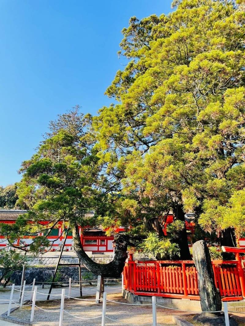 香椎宮,福岡県福岡市東区香椎4-16-1