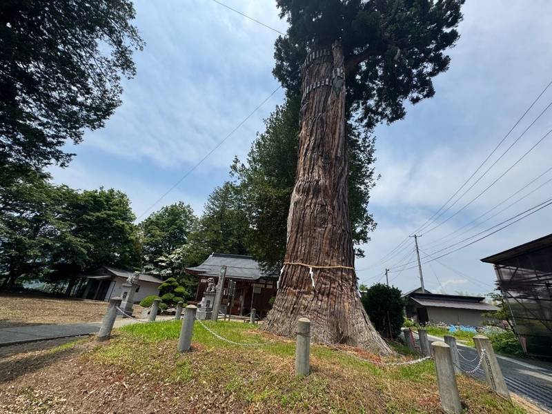 豊龍神社,山形県西村山郡朝日町大字宮宿1203-1