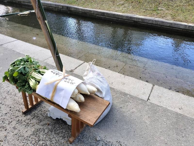 真田神社,愛知県豊橋市杉山町字下泉
