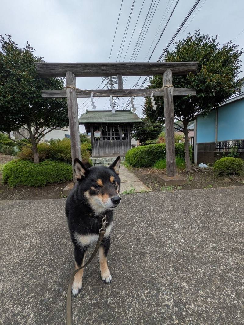 丸崎神明神社,神奈川県相模原市中央区上溝1732-1