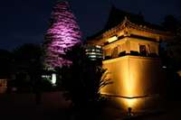 福岡県の御朱印・神社・お寺 人気ランキング2025 (376位～400位)