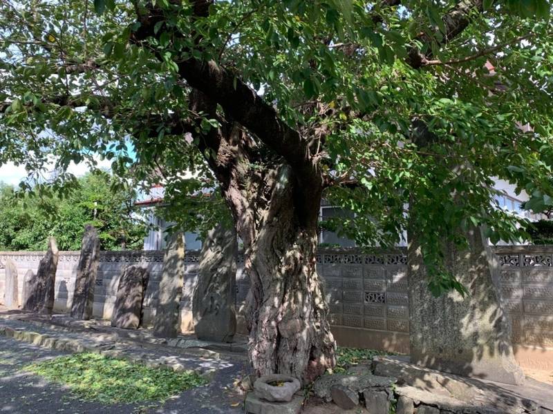 三方島神社,宮城県登米市迫町北方一番江20-2