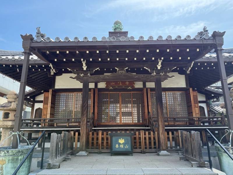蓮心寺,和歌山県和歌山市吹上３丁目１−４１ さくら