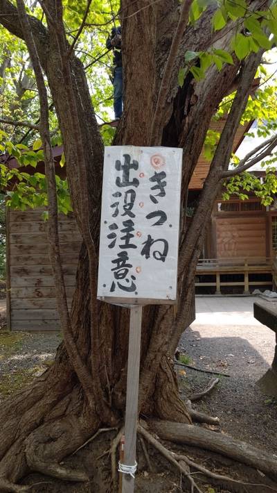 相馬神社,見どころ,あっきぃー