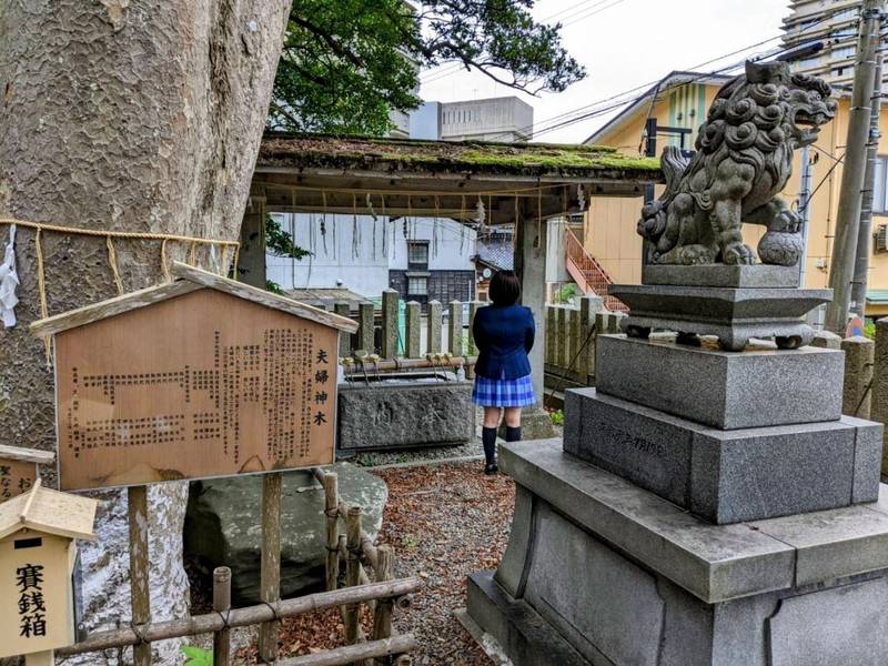 少比古那神社,石川県七尾市和倉町ヨ47