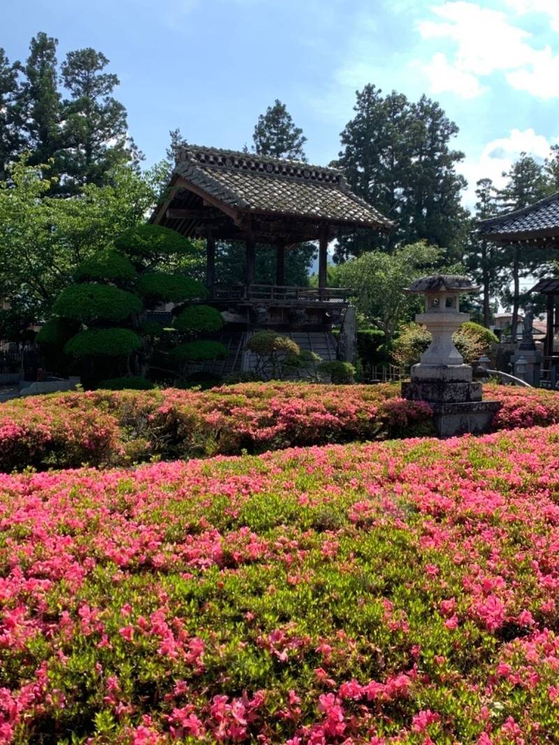 善明寺 遠野市/岩手県 Omairi(おまいり)