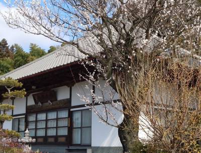 願成寺,見どころ,ふくちゃん