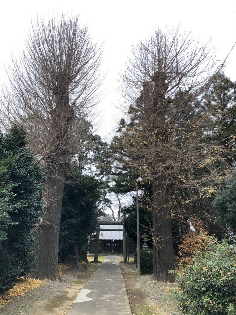 湯殿神社,埼玉県熊谷市西別府1575