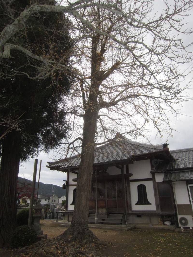 医王寺 丹波篠山市 兵庫県 Omairi おまいり