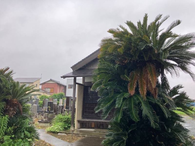 光蔵院,静岡県浜松市中央区下飯田町３３３