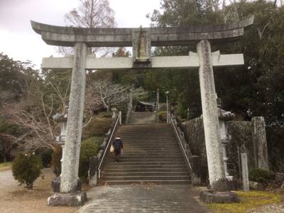 三島神社      (宇和島市),見どころ,K.Y.
