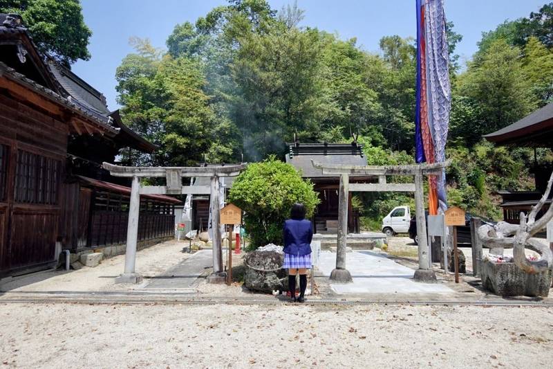 髙野神社      (二宮),岡山県津山市二宮601